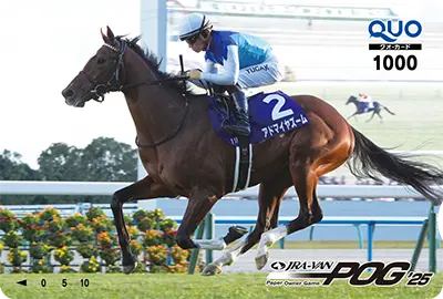 ��я� JRA-VAN POG�I���W�i��QUO�J�[�h1,000�~��