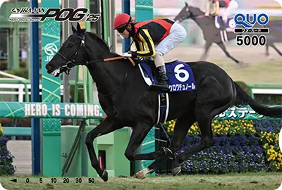 4�ʁ`10�� JRA-VAN POG �I���W�i��QUO�J�[�h5,000�~��