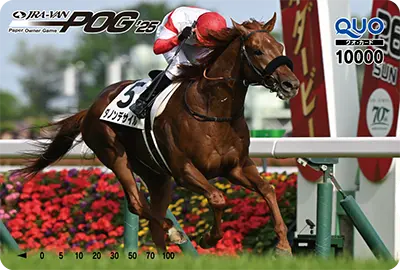 11�ʁ`20�� JRA-VAN POG�I���W�i��QUO�J�[�h10,000�~��