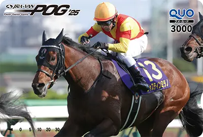 51�ʁ`100�� JRA-VAN POG�I���W�i��QUO�J�[�h3,000�~��