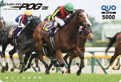 21�ʁ`50�� JRA-VAN POG�I���W�i��QUO�J�[�h5,000�~��